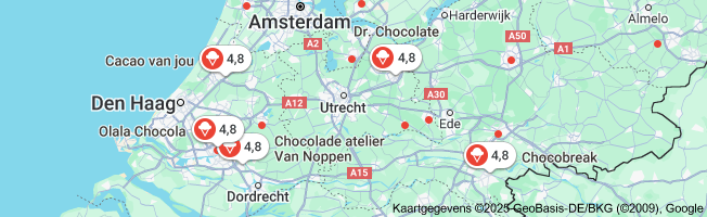 cursus chocolade maken