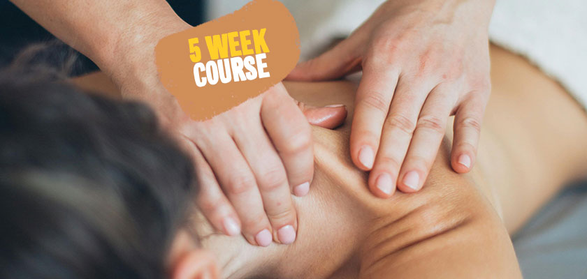 shiatsu cursus