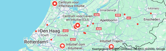 intuïtieve ontwikkeling cursus